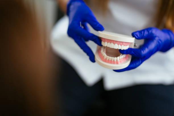 Professional  Holistic Dental Services in Hartford City, IN